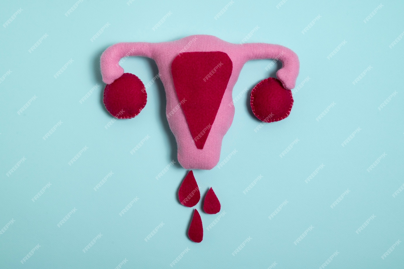Mitos e Fatos Sobre a Menstruação